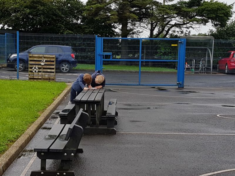 Working together recording - blue gates and black tables.